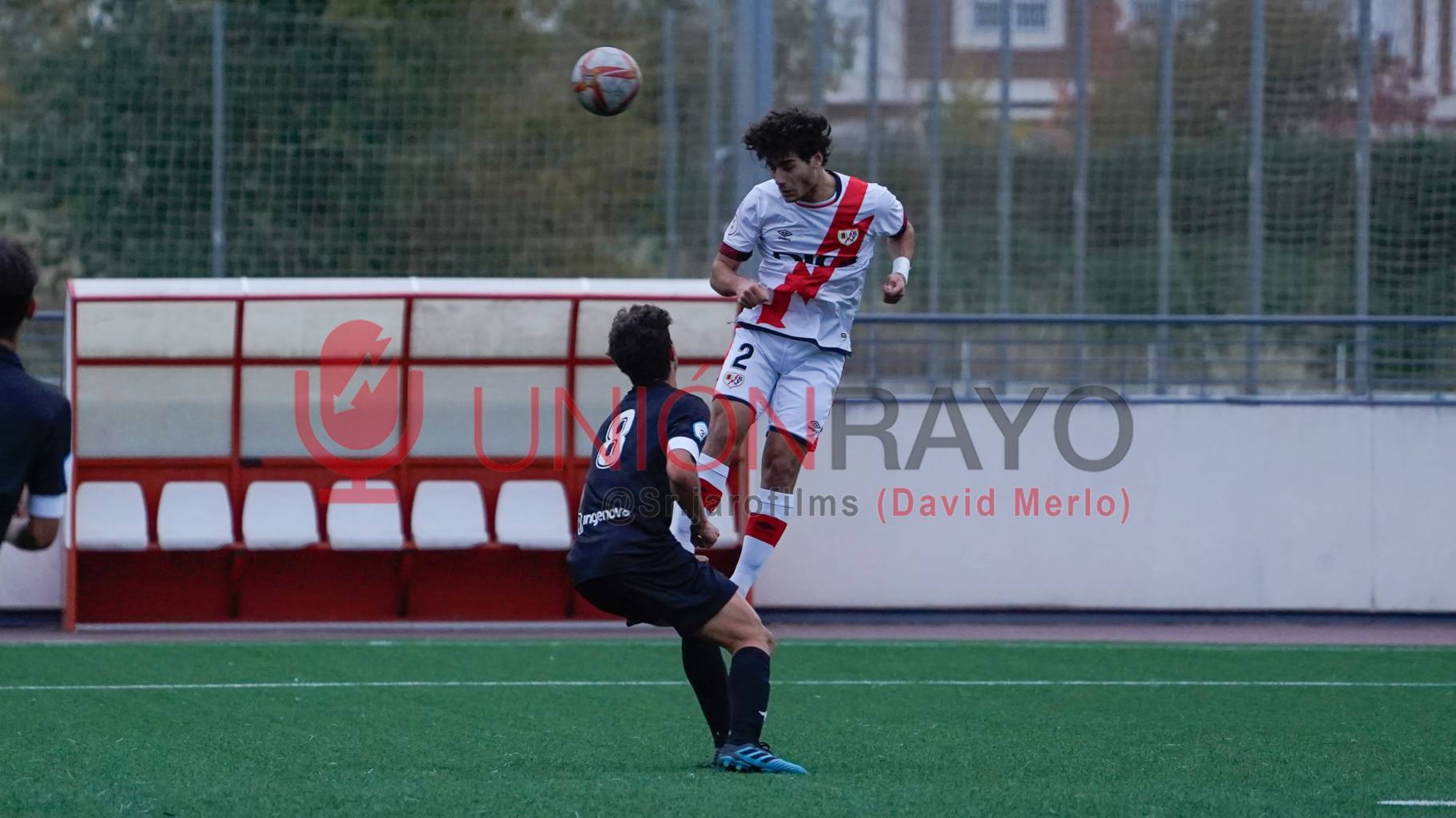 20112021 sin titulo 314