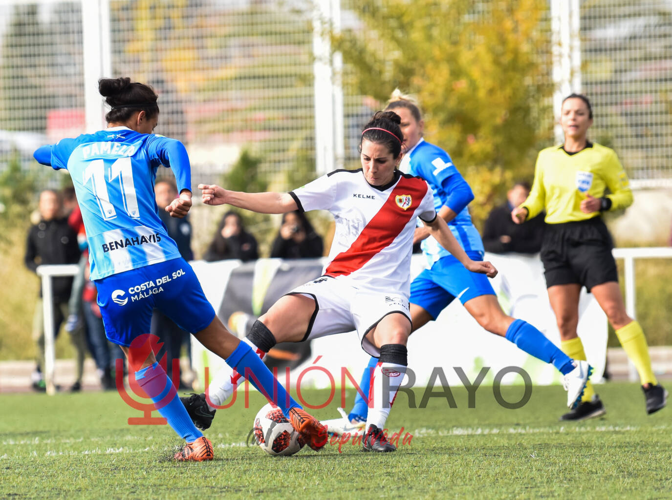 31208153107 3cd2930cbe o