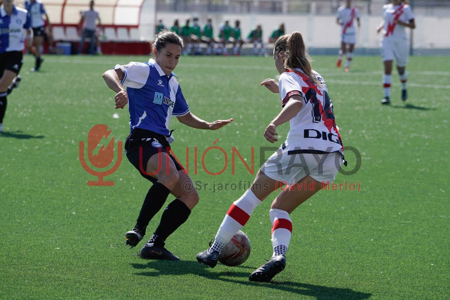 12092021 sin titulo 541