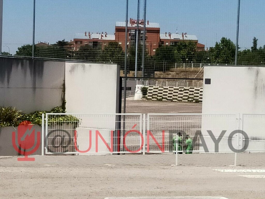 La Ciudad Deportiva cambia el césped natural 2 WhatsApp Image 2022 07 20 at 2.57.42 PM