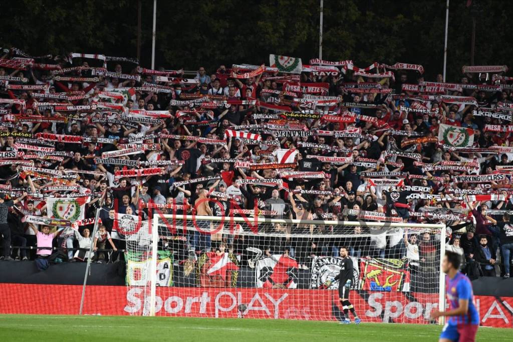 ezy watermark 28 10 2021 02 31 01p. m.