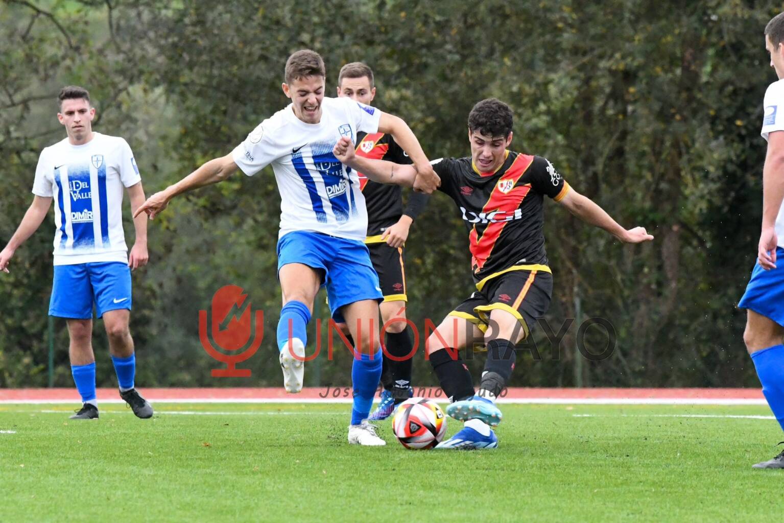 8ee35281 5b70 48d5 925f 185fd270e190