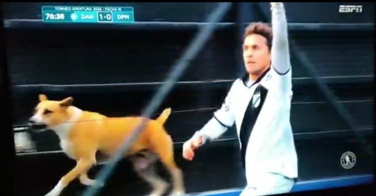 El surrealista gol del exrayista Papelito Fernández 1 img 2133 1