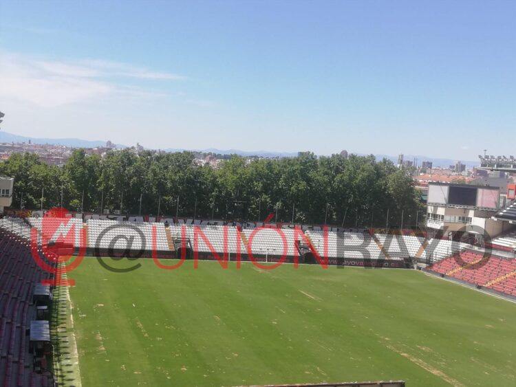 césped Estadio de Vallecas