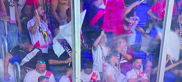 aficionados Rayo reale arena