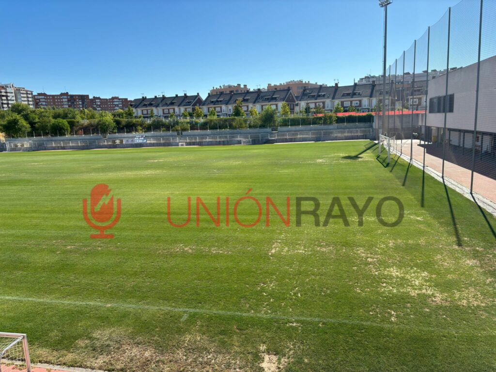 césped ciudad deportiva