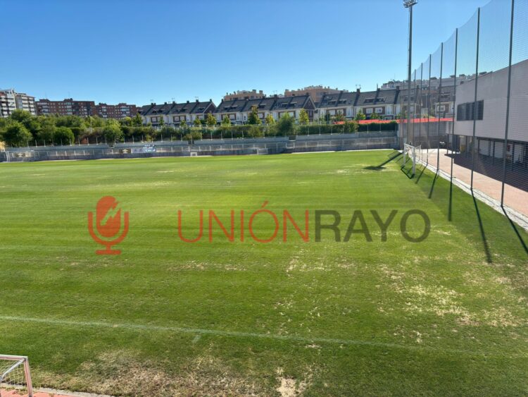 césped ciudad deportiva