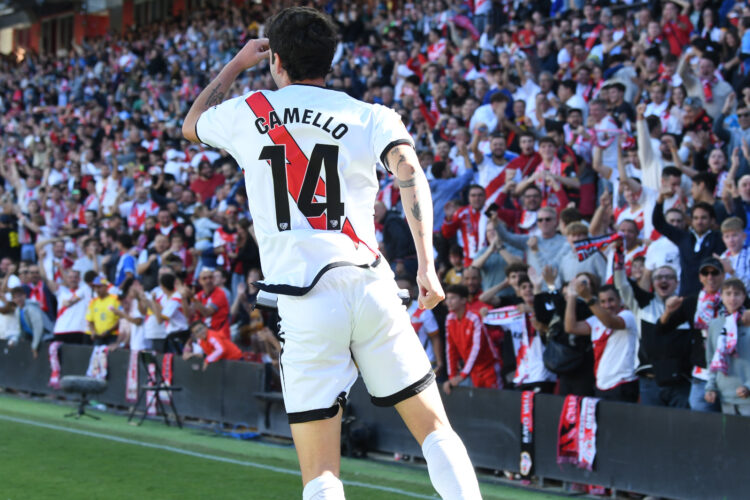 Camello delanteros Rayo