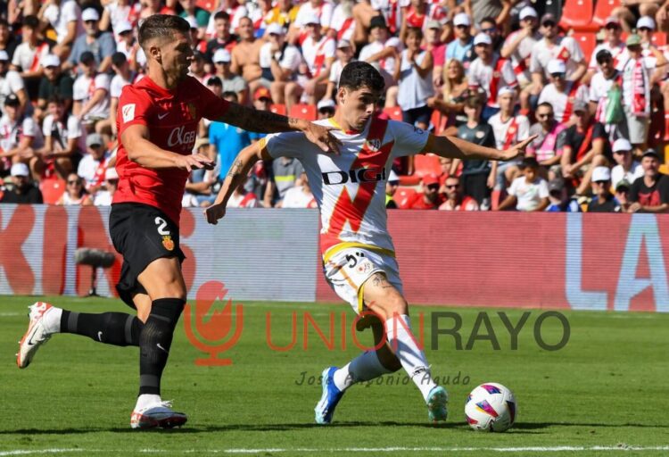 Bajas rayo mallorca