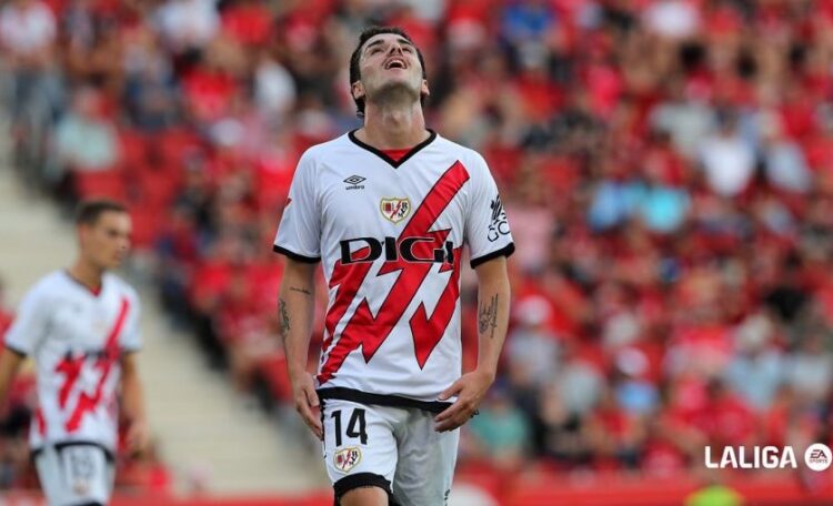 Camello varias ocasiones mallorca