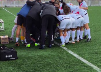 611444e1 b65b 497f a7b3 13e22306dca4 1