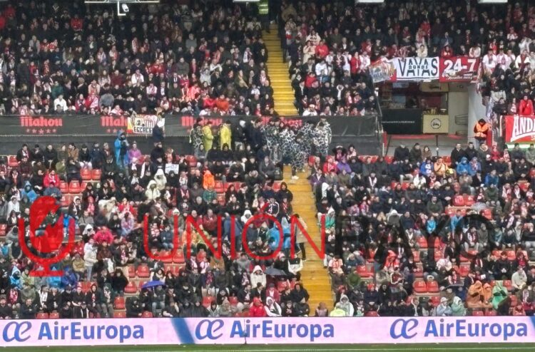 Dalmatas carnavales Vallecas