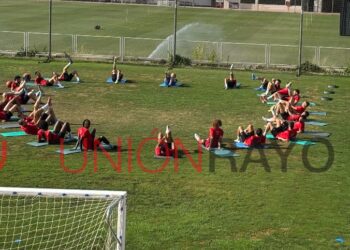 Camello entrenamiento Rayo