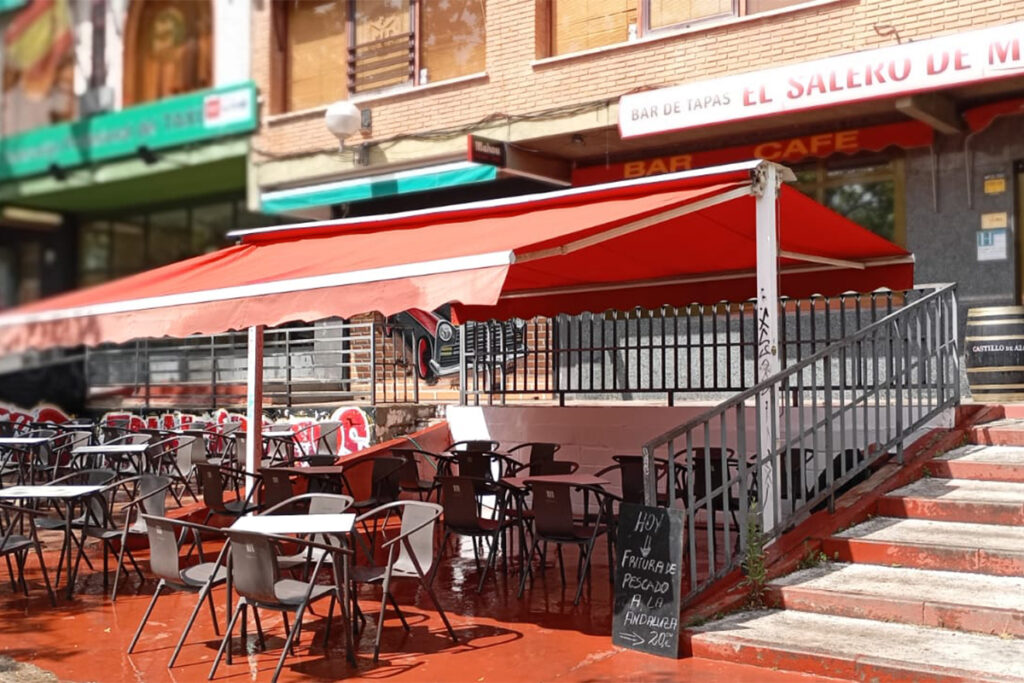 salero de ming pinceles rayistas