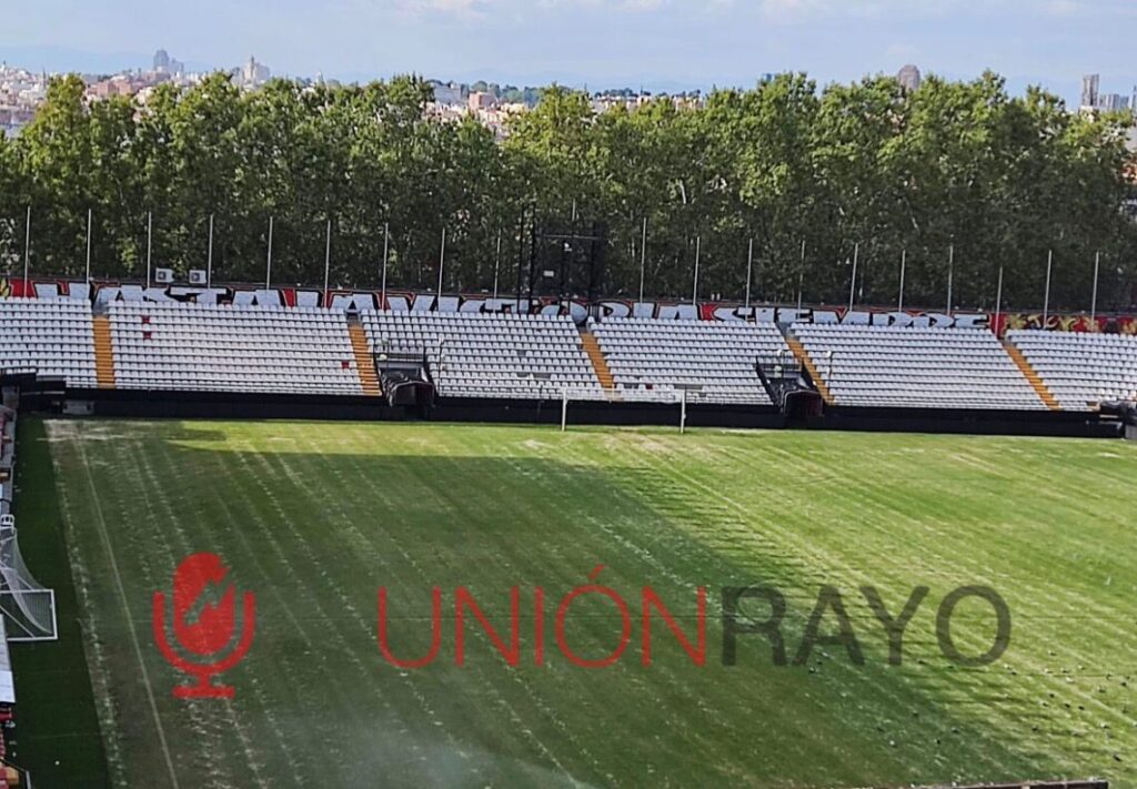 Instalacion cesped invierno