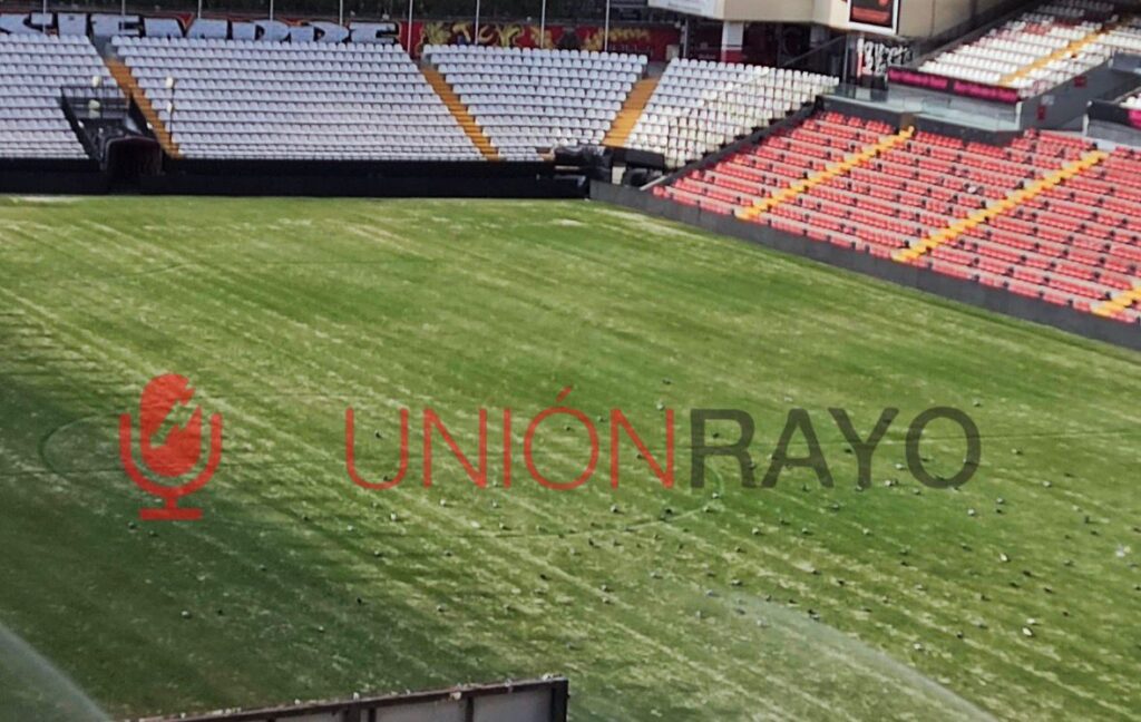 césped del Estadio de Vallecas verano
