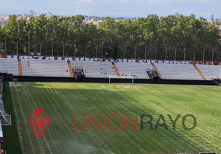 césped del Estadio de Vallecas verano