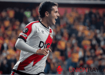 Camello nueva oportunidad