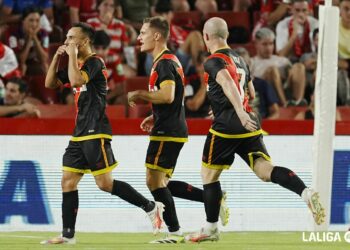 Entradas Granada Rayo