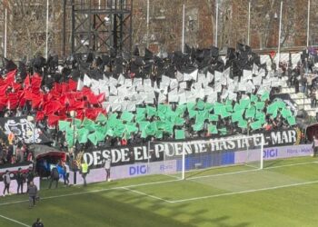 Bandera Palestina fondo Vallecas
