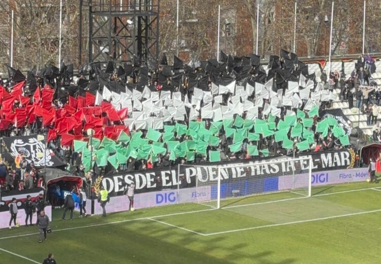 Bandera Palestina fondo Vallecas