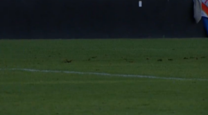 césped Estadio de Vallecas