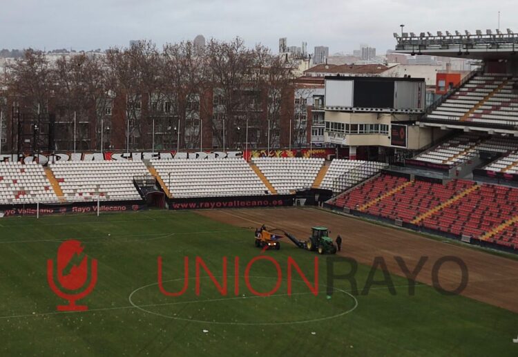 El Estadio de Vallecas cambia su césped debido a su lenta recuperación 1 cesped Estadio de Vallecas