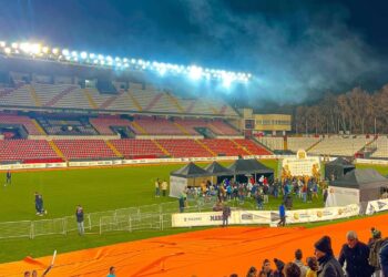san silvestre cesped Vallecas