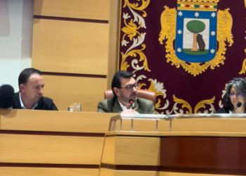 Concejal de Villa de Vallecas Pereira