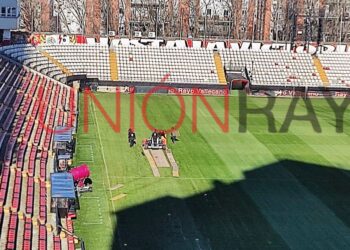 Rayo parches césped Vallecas