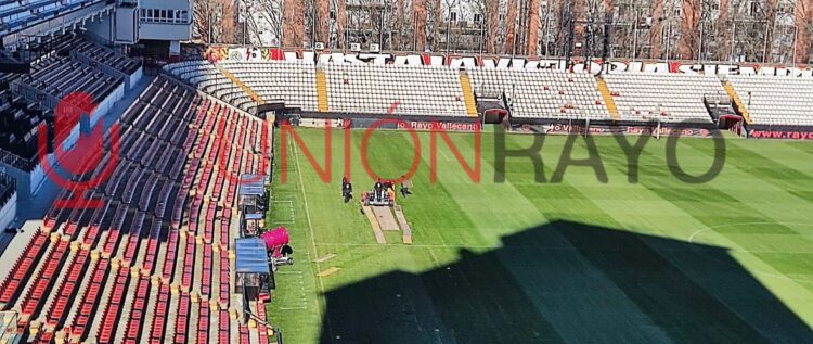Parches en el nuevo césped del Estadio de Vallecas 1 Rayo parches césped Vallecas