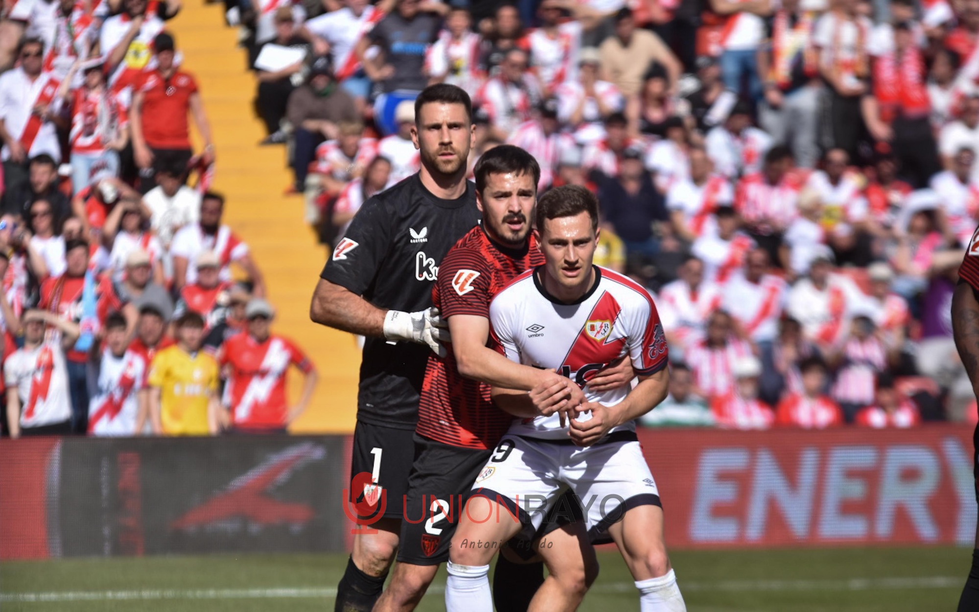 cd5bc0f1 06df 4afa b84c 527dfded9bad