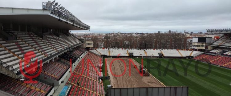 césped Estadio de Vallecas Rayo