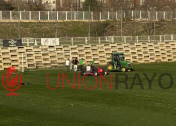 césped parches Ciudad Deportiva Campo 5 Rayo